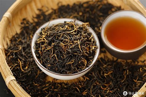 hongcha|红茶（山茶目山茶科植物）.